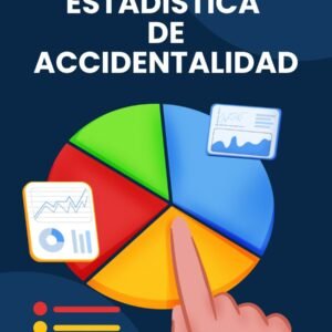 Formato de Estadística de Accidentalidad